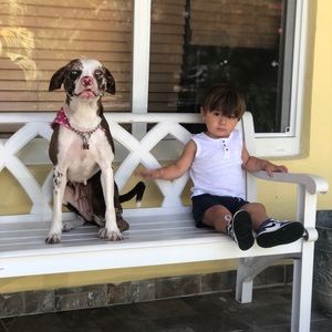 Meet your Posher, Albert